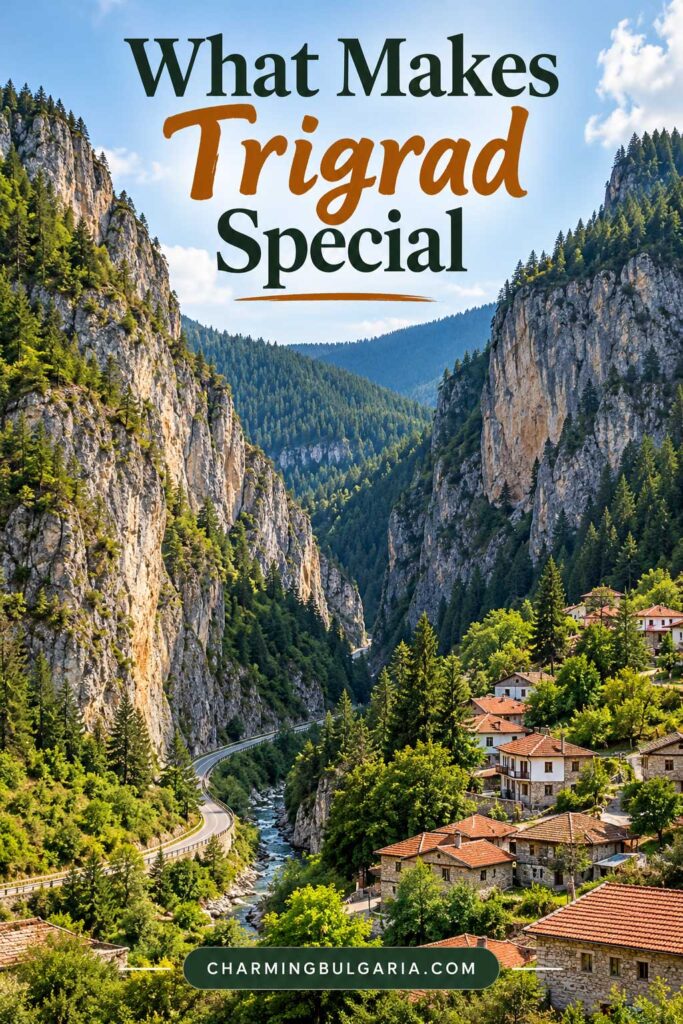 What Makes Trigrad Special