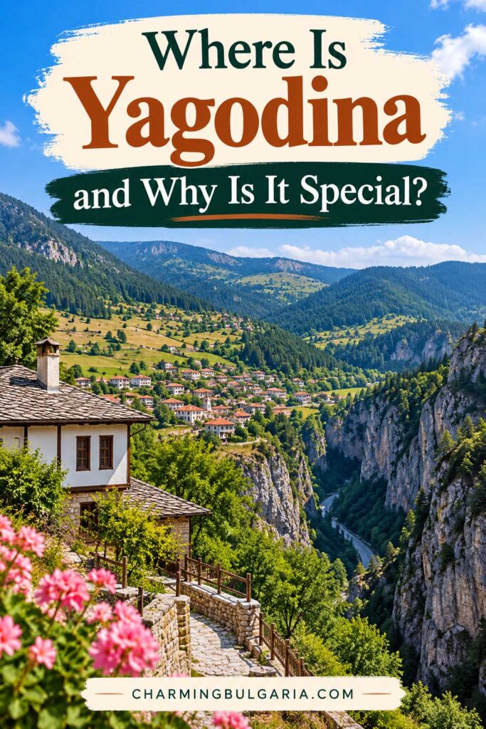 Where Is Yagodina Bulgaria